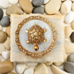 Vaastu Tortoise with Plate