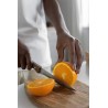 Wood, Stainless Steel Knife Set